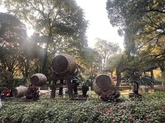 -柳侯公园