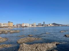 -黑石礁公园