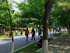 -长白岛森林公园