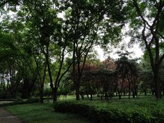 -玲珑塔公园