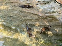 -杭州野生动物世界