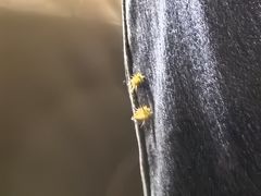 -库伦旗银沙湾旅游景区