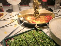 -小龙翻大江文化火锅(宽窄店)