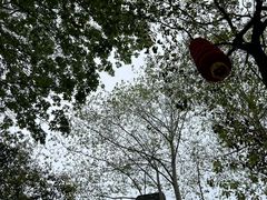 -杭州上天竺法喜讲寺