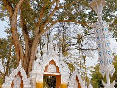 -西双版纳傣族园