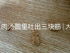 -祥记汤圆(东宝兴路店)