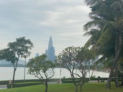 -深圳湾公园(南山区)
