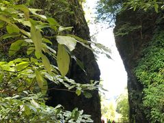 -夏霖九天银瀑风景区