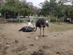-新塘水果乐园(东洲大道店)