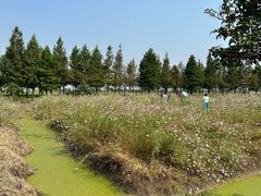-嘉北郊野公园