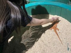 -石家庄海洋公园