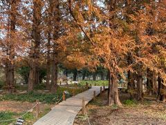 -国家植物园南园