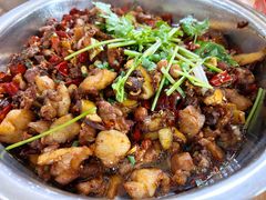 -食神又名厕所兔