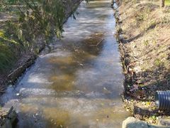 -前小桔亲子创意农场·草莓采摘·露营烧烤