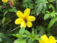 -苏州河梦清园环保主题公园