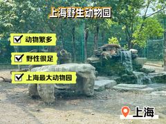 -上海野生动物园