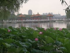 -长春市南湖公园