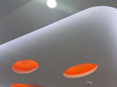 -全心全意连锁动物医院·微创中心·内科急重症·心脏专科(丰管路店)