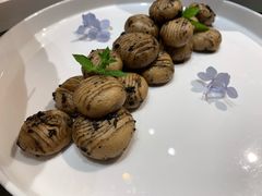 -龙吟九品(青龙山庄店)