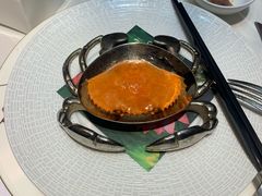 -诺莱仕游艇会