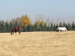 -汉长安城未央宫国家考古遗址公园