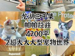 -帕帕拉兹宠物(亚洲旗舰店)