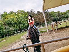 -太阳岛度假酒店