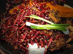 -四小区火锅·巷子里的重庆火锅(花照壁店)