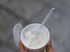 -洪馨椰子