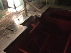 -观唐（国际）度假村温泉