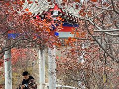-北京密云天门山风景区
