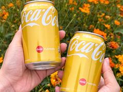 -洋湖国家湿地公园