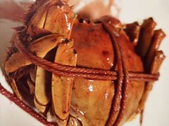 腐乳大闸蟹-王宝和酒家(黄浦店)