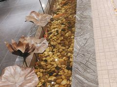 -全聚德烤鸭店(和平路店)