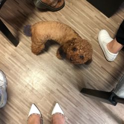 -JERRY日式美甲美睫纹绣工坊