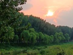 -东郊湿地公园