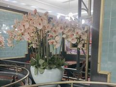 -新白鹿餐厅(爱琴海购物中心店)
