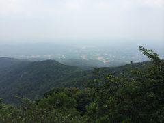 IMG_9675-广州市帽峰山景区