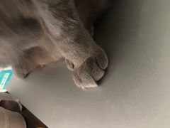 -北京赛佳动物医院