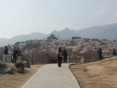 -白水寺森林公园