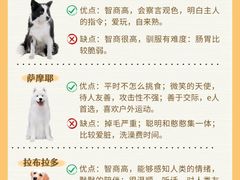 -翊宠yipet猫狗购宠庄园犬舍•猫舍
