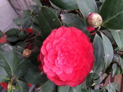 iphone_upload_pic-罔极寺