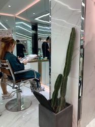 -潘多拉Hairsalon