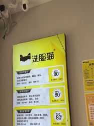 -洗脸猫·洗脸吧