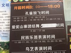 -西双版纳原始森林公园