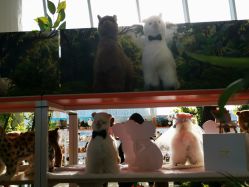 -IMON·HANSA潮玩玩偶毛绒玩具(通州万象汇店)