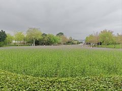 -厦门园林博览苑