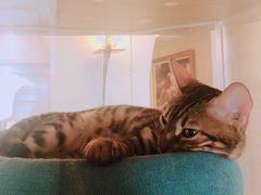 -Me Coffee下午茶艺术空间