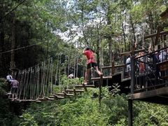 -梦幻奥陶纪景区