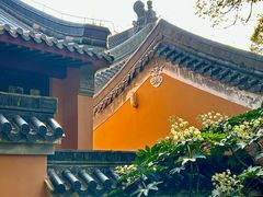 -灵谷景区